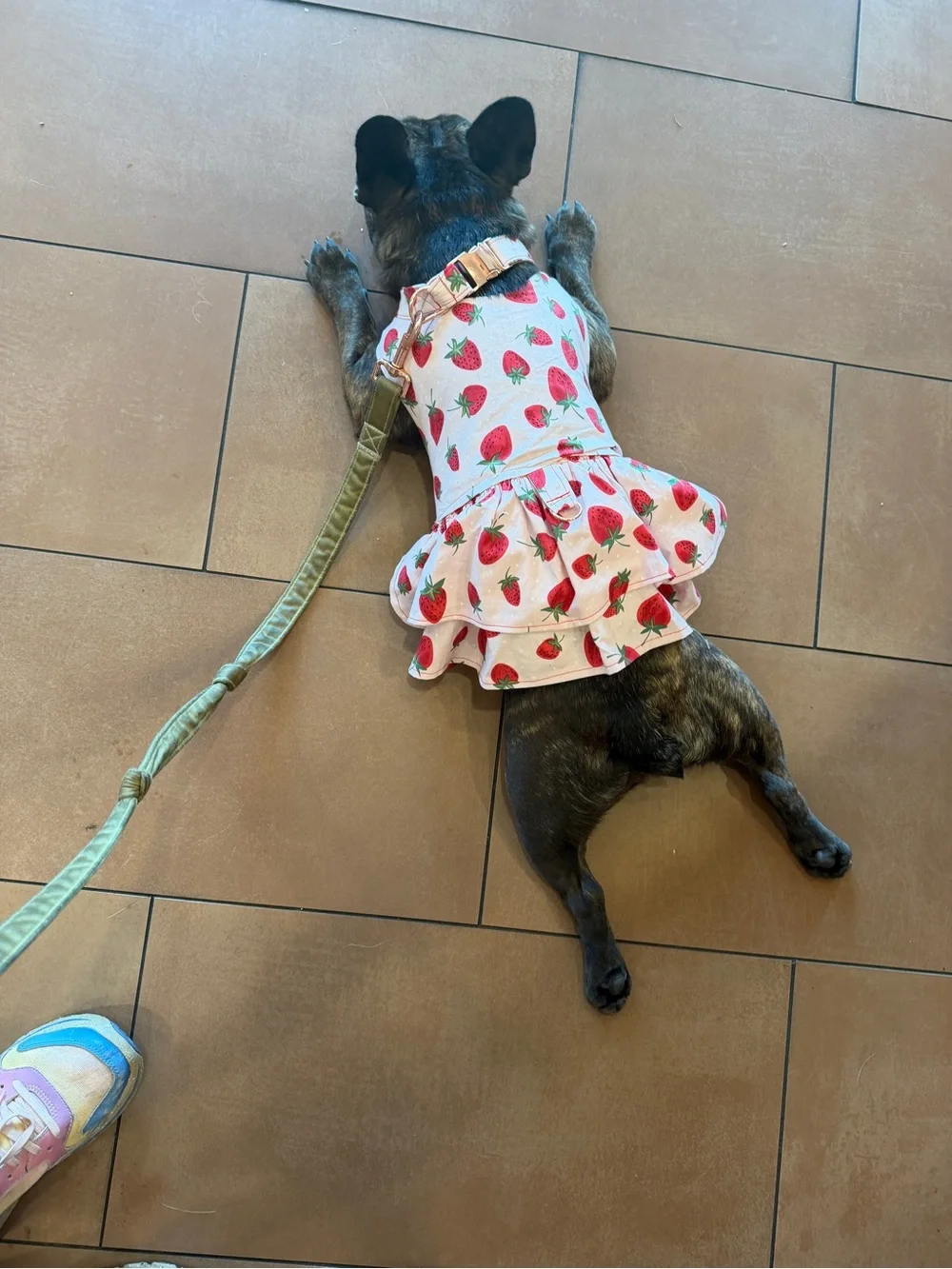 Handmade Strawberry Print Pink Dog Dress